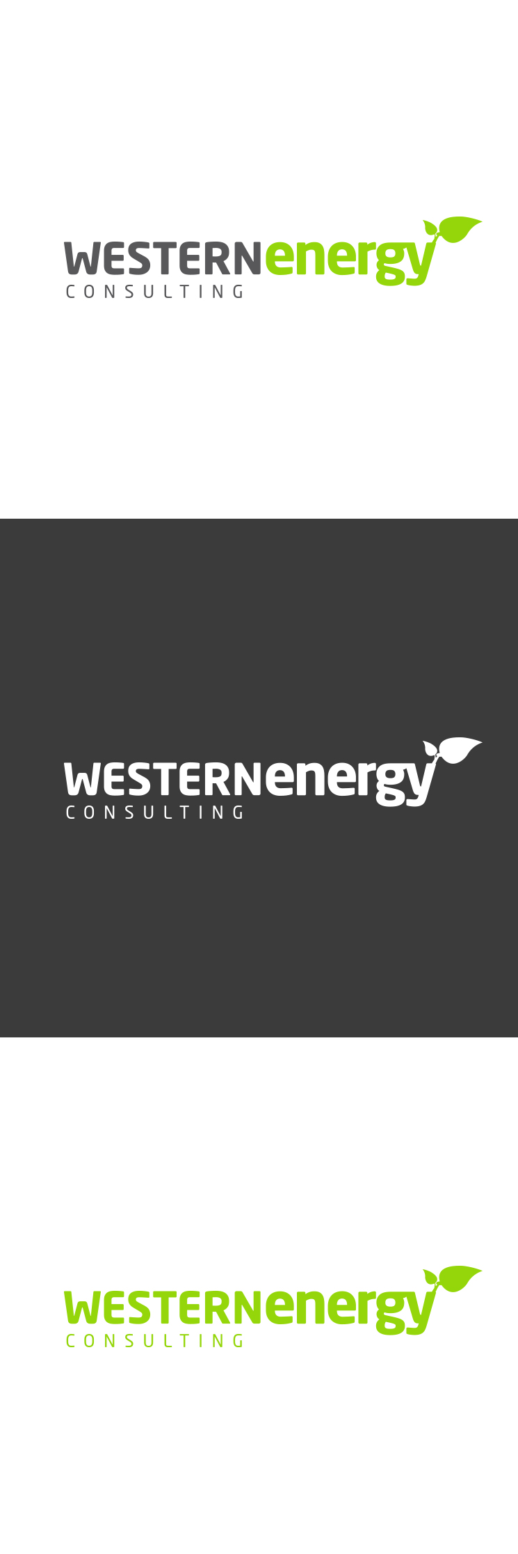 Western Energy Consulting